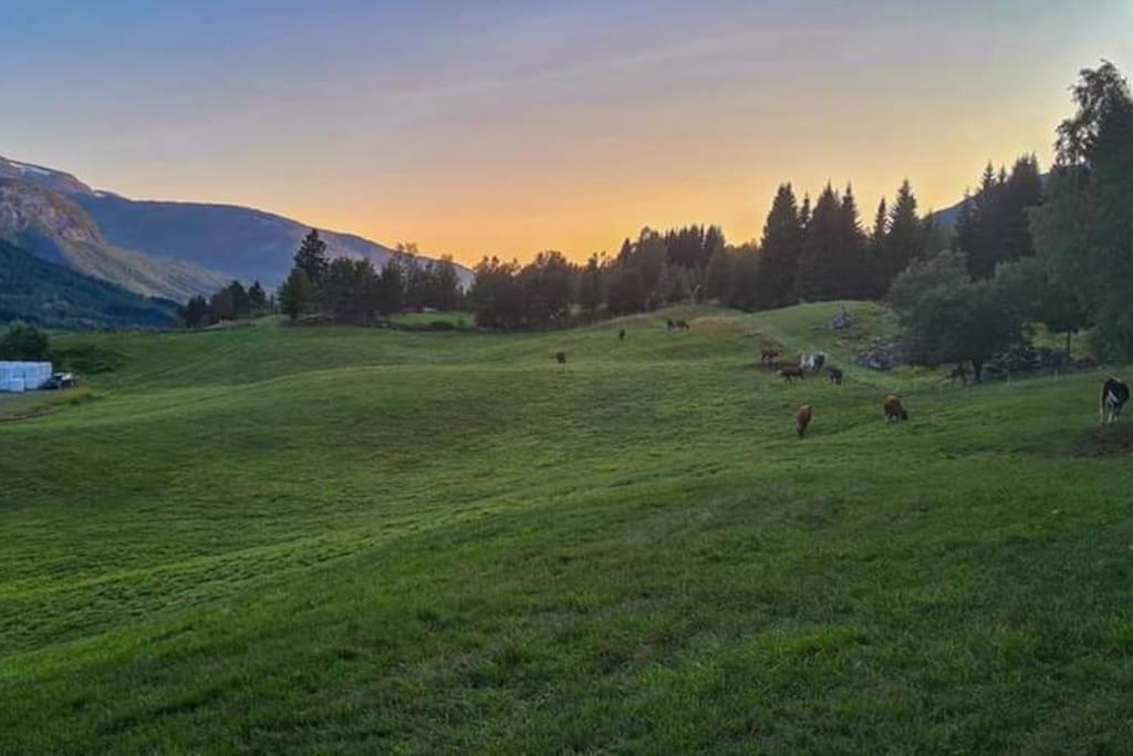 Holiday Home Among The Pearls Of Norway Stranda  Εξωτερικό φωτογραφία