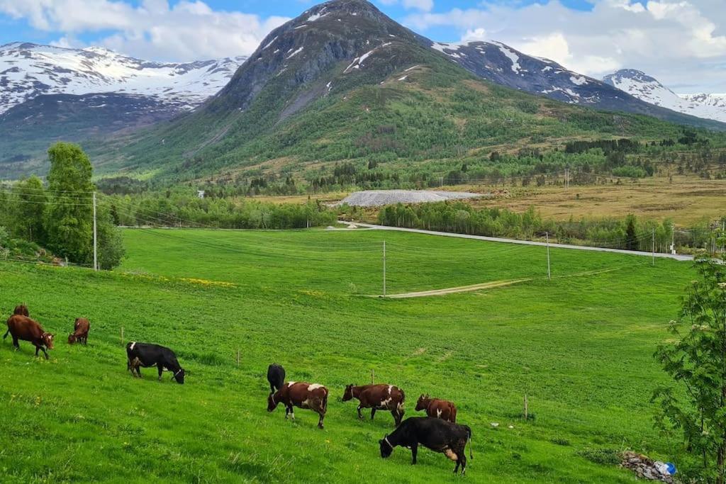 Holiday Home Among The Pearls Of Norway Stranda  Εξωτερικό φωτογραφία