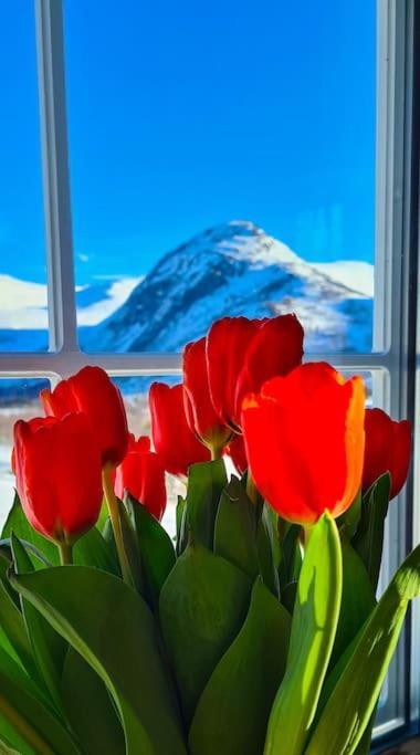 Holiday Home Among The Pearls Of Norway Stranda  Εξωτερικό φωτογραφία