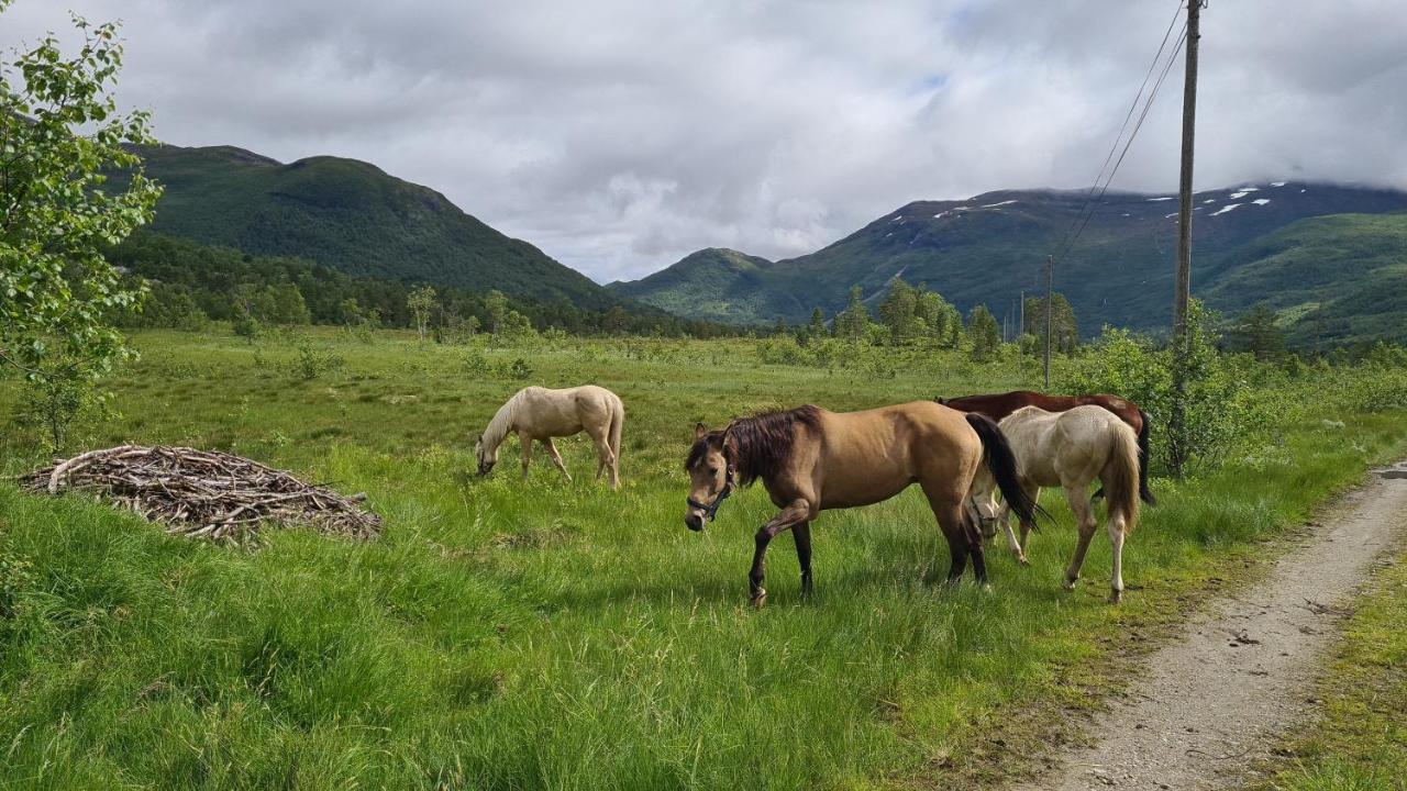 Holiday Home Among The Pearls Of Norway Stranda  Εξωτερικό φωτογραφία