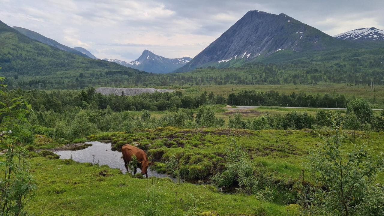 Holiday Home Among The Pearls Of Norway Stranda  Εξωτερικό φωτογραφία