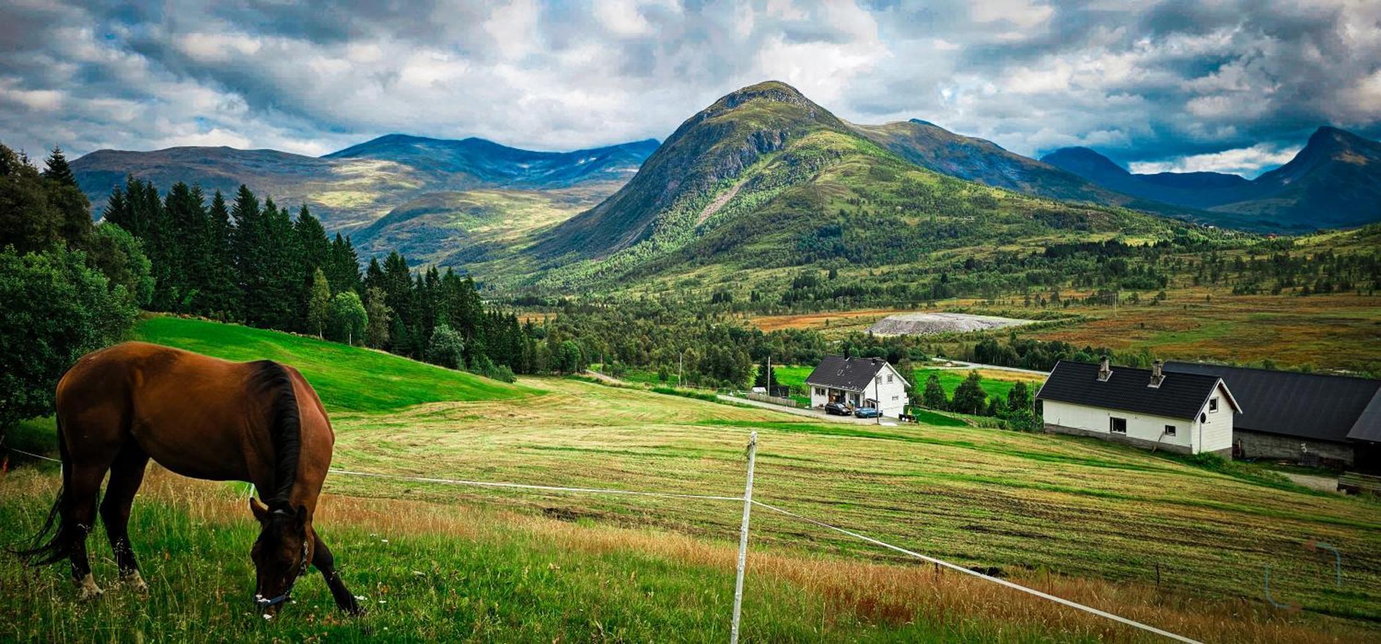 Holiday Home Among The Pearls Of Norway Stranda  Εξωτερικό φωτογραφία